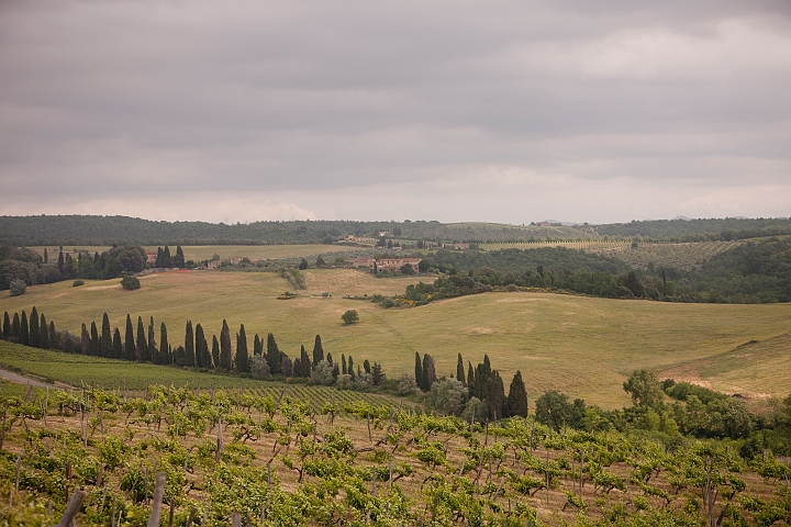 Tuscany-10.jpg