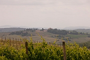 Tuscany-11