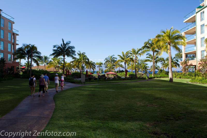 maui2012-5589.jpg