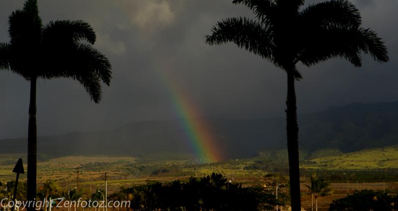 maui2012-7057.jpg