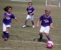 Soccer-GummyBears-Game1_2013_09_07_1168